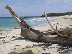 156 ILE DE HOEDIC_000062